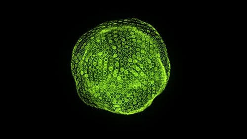 Abstract Green Hexagon Sphere Morphing Geometric Animation