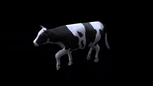 Cow Walk aus Sicht, oberer Winkel