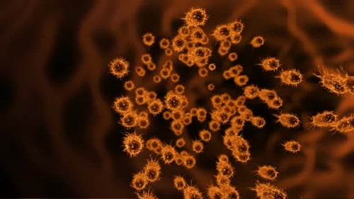 Microscopic Bacteria Cells Multiplying in Abstract Fluid Motion