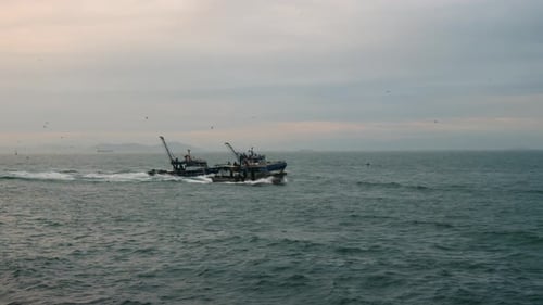 Fishing Boats Moving Quickly on the Ocean