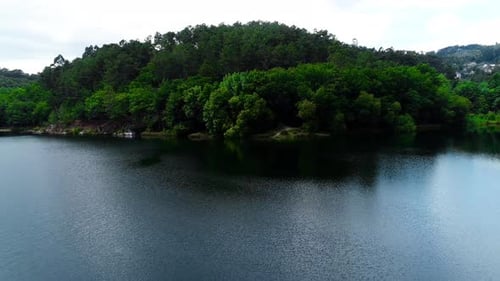 Epic nature river Forest landscape