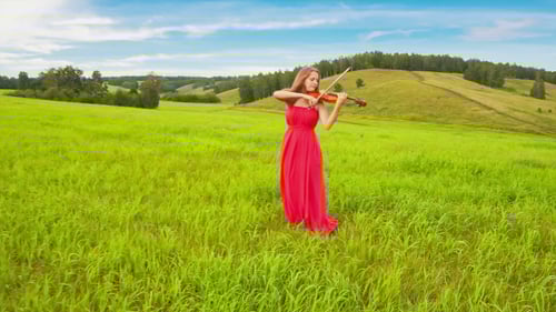 Violinist on a Green Meadow