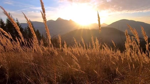 Sonnenuntergang über den grasbewachsenen Bergen im Herbst