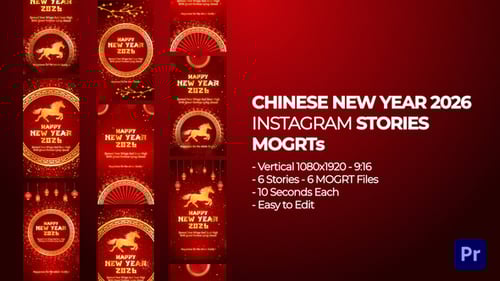 Festive Chinese New Year Instagram Stories Design