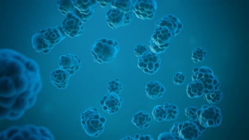 Animated Microscopic Organism Cells Background