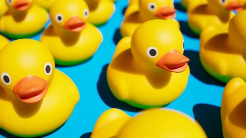 Seamless Loop Animation of Modern Yellow Rubber Ducks