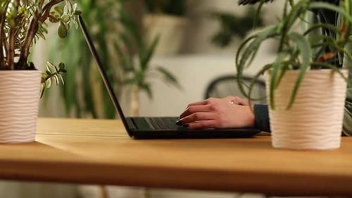 Woman florist with potted plant works on a laptop in flower plant shop