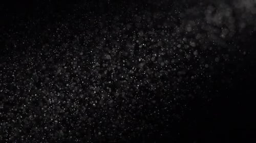 Black Background with Dust Particles Are Shimmering. Slow Motion