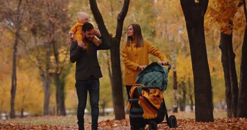 АМГ 1 и беременность: Реальные шансы на зачатие, о которых молчат врачи