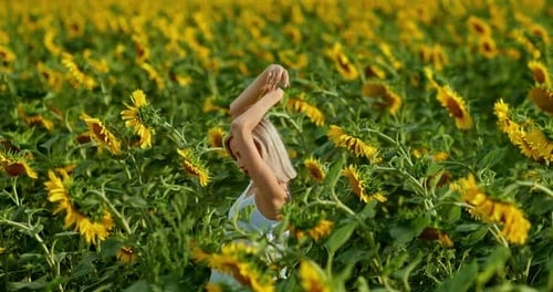 Beautiful Woman Posing in the Field, Spinning Around Herself. Happy Young Woman Raises Her Hands Up