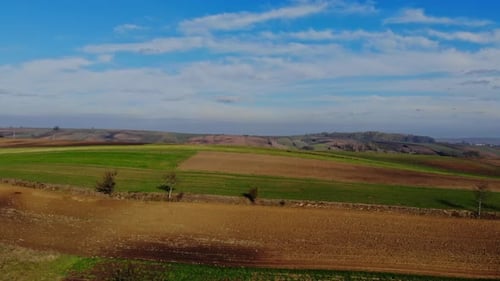 Scenic Farmland Aerial View on Bright Day