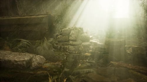 Hoary Ruins of Ancient City in Pine Forest