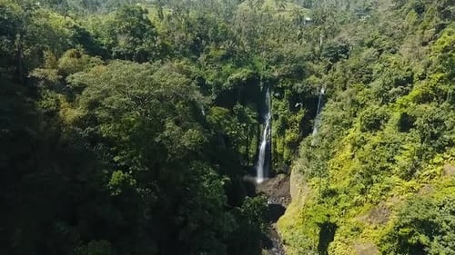 Tropical Waterfall Cascading Through Lush Green Forest