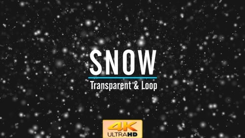 Realistic Snowfall Particles Overlay Animation