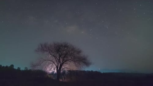 Milky Way Galaxy moving over tree ridge.
