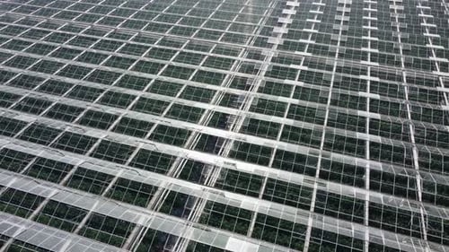 Aerial View of Vast Glass Greenhouse Structure