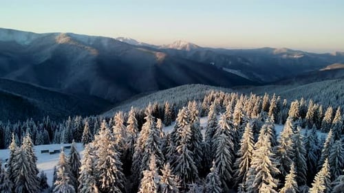 Drone Aerial Fly Above Winter Forest Unveiling Mountain Valley