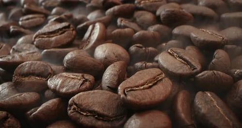 Aromatic Roasted Coffee Beans in Close Up Detail