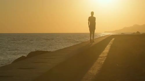 Person Walking on Pier at Sunset