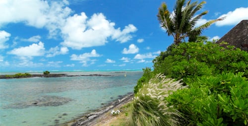 Ocean Landscape