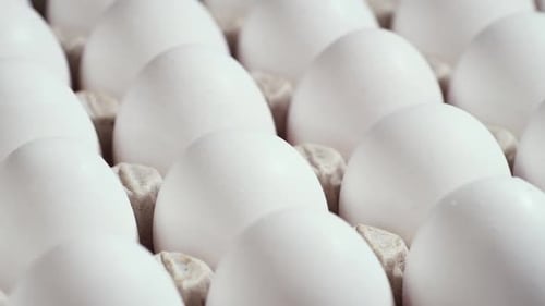 Eggs in a Cardboard Box Rotation Shot Chicken White Fresh Raw Eggs in an Egg Container