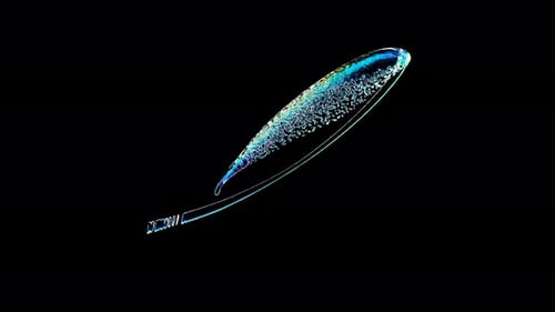 Abstract Fluid Water Splash Effect Animation