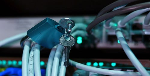 Close Up of Data Center Network Cables