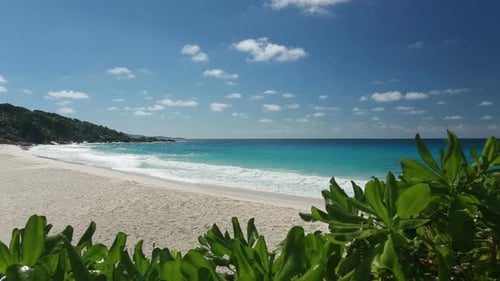 Sandy Beach Outlook