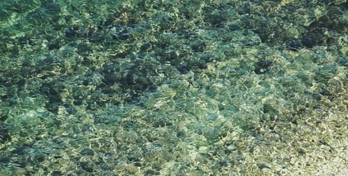 Sea Water