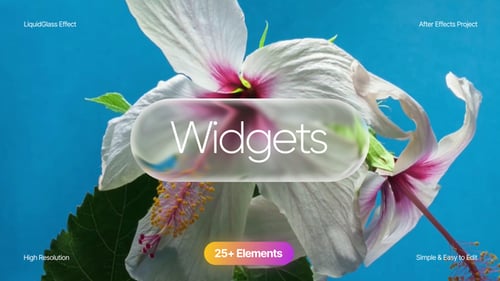 Widgets