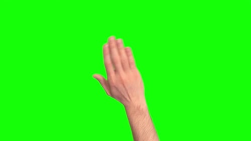 Bye Bye Hand Green Screen