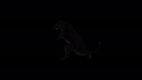 Realistic Black Panther Animated Actions with Alpha Channel