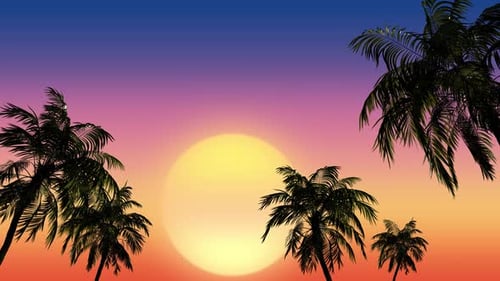 Riesige Sonne bei Sonnenuntergang zwischen den Palmen in den Tropen.