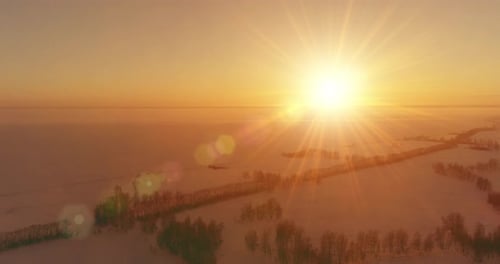 Aerial Drone View of Cold Winter Landscape with Arctic Field Trees Covered with Frost Snow and