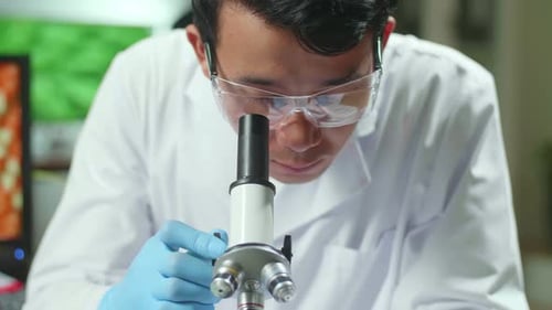Scientist Examines Specimen Through Microscope in Laboratory