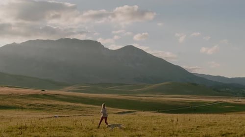 Happy woman with dreadlocks Runs through a Field with playful dog under sunlight in evening.