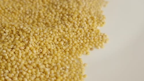 Slow tilt on Proso mijo superalimento orgánico 4K 2160p 30 fps UltraHD - Beans of Panicum mili