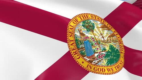 Seamless Loop of Florida State Flag Waving