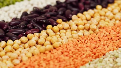 Assorted Dried Goods Arranged in Colorful Rows