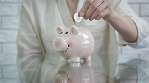 Sparen Sie Geld im Sparschwein.
