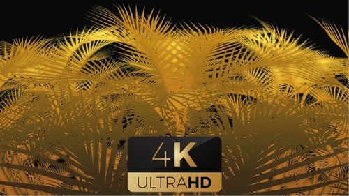 Golden Palm Leaves Tropical Loop Background Animation