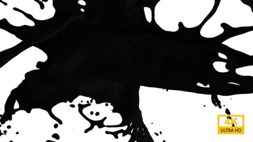 Black Ink Splash Transition Reveal