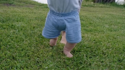 Cute Toddler Learning to Walk
