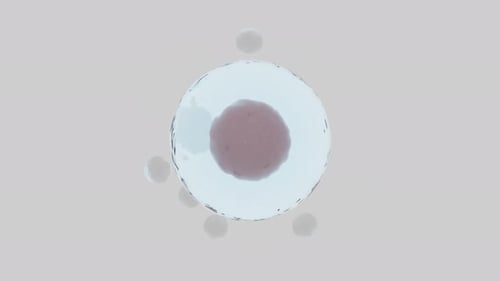 Animated Scientific Cell Structure Loop