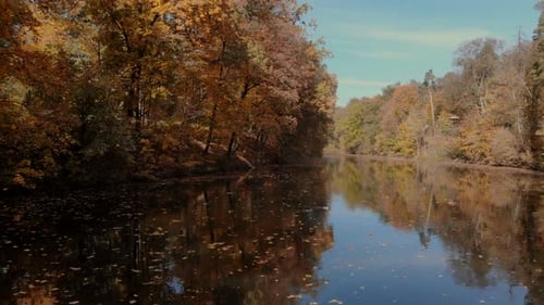Herbstpark, Enten schwimmen auf der Spiegeloberfläche des Sees