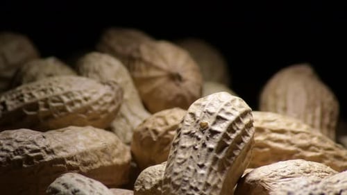 Mountain of Peanuts Gyrating