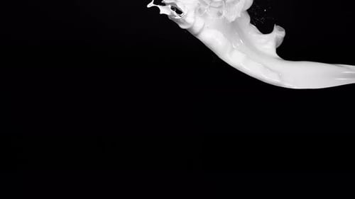 Graceful White Liquid Splash on Black Background