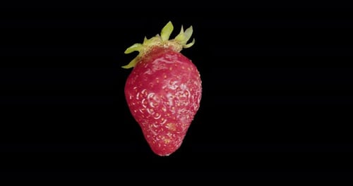 Red Strawberry Rotates Alpha Channel
