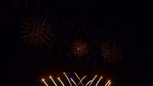 Colorido espectáculo de fuegos artificiales por la noche sobre fondo de cielo