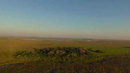 Tranquil aerial view of Ibera Wetlands, Corrientes Province, Argentina